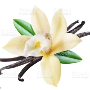 photo de Sucre pour barbe à papa saveur Vanille
